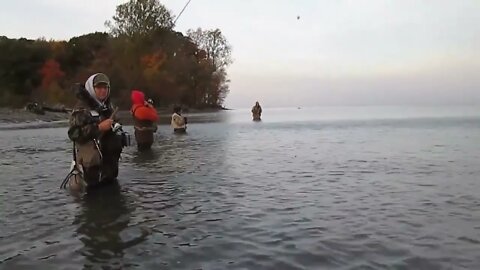 Lake Erie steelhead fishing - LAKESIDE
