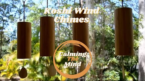 3 Hours of Koshi Wind Chimes | Bird song | Forest