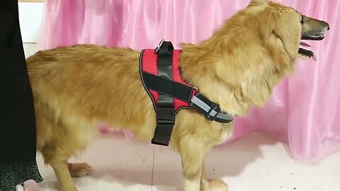 Reflective Breathable Adjustable Tactical Pet Harness