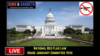 Watch the House Judiciary Committee Vote on the National Red Flag Bill HR2377