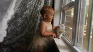 Baby Girl Adorably Kisses Her Cute Little Kitten