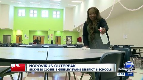 Five schools in Greeley-Evans School District 6 close Friday due to norovirus