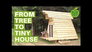 Building an Off Grid Tiny House from the Land