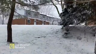 Winter walk in the crunchy snow