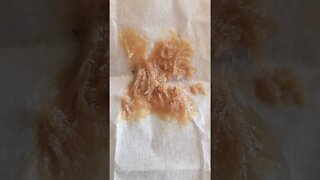 Peanut Butter Wax