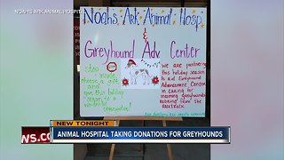 Noah's Ark Animal Hospital taking donations for greyhounds