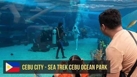 Virtual Tour Cebu Ocean Park - Sea Trek Helmet Diving