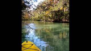 Weeki Wachee River Kayaking