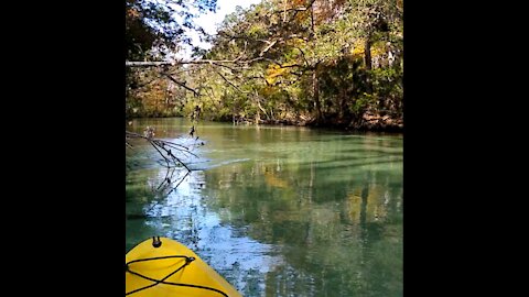 Weeki Wachee River Kayaking