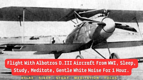Flight With Albatros D III Aircraft From WWI, Sleep, Study, Meditate, Gentle White Noise For 1 Hour.