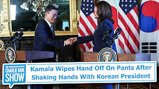 Kamala Wipes Hand Off On Pants After Shaking Hands With Korean President