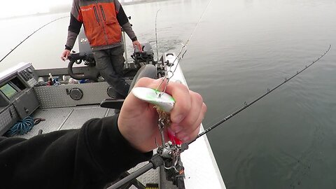 "How-To" | Properly Tuning A Salmon Or Steelhead Plug.