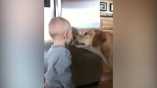 Tot Boy And His Dog Share Cookie Dough
