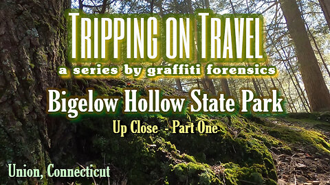 Tripping on Travel: Bigelow Hollow State Park, pt 1, Union, CT