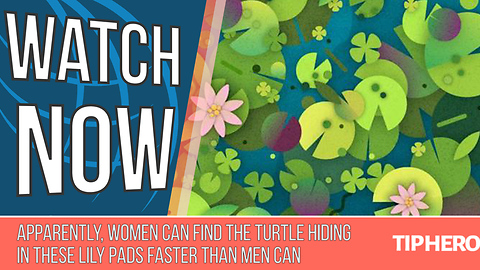 Apparently, Women Can Find the Animal Hiding in These Lily Pads Faster Than Men Can