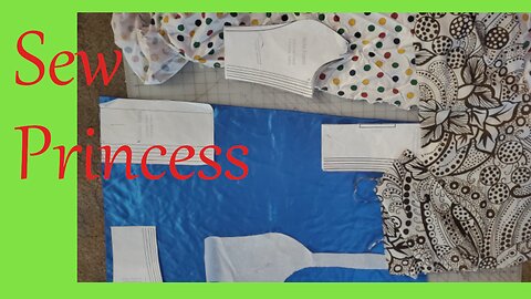 Sew a Princess Cut Blouse || Stitch & B*