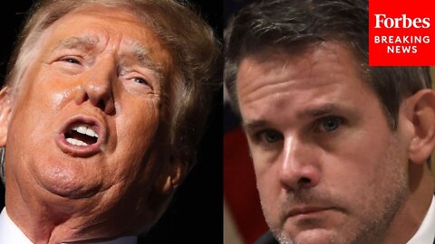 'He's Crying All The Time!': Trump Laces Into 'Warmongers' Adam Kinzinger, Liz Cheney At SC Rally
