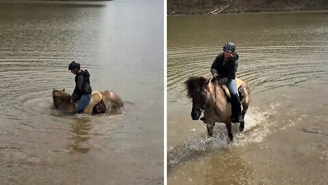 Horse decides to sit in lake during horseback riding session