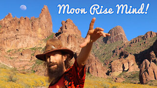 Moon Rise Illumination with Leo Mystic Magic Sharing Knowledge & Wisdom
