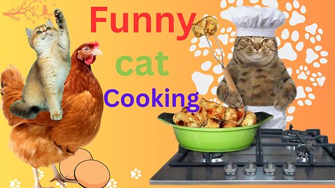 Funny Animals cooking video 2023 😹😻 Funniest Cats cooking Videos C6) 😹😂👍