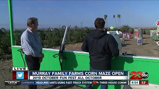 Murray Family Farms ha fun fall cannons at their October Fun Fest