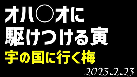 オ○イオに水を持っていく寅🐯宇国に行く梅[050223