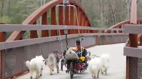 Time Lapse MUSH of the Swatara Trail