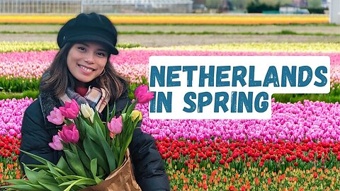 How to Enjoy the Tulips in the Netherlands 2023 - Your Ultimate Guide!