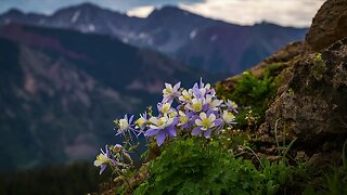 Columbine survivors and community members gather during faith-based service 20 years after shooting