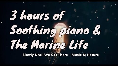 Soothing music with piano and underwater sound for 3 hours, music for sleeping, meditate and relax