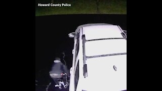 Police investigating rash of overnight thefts from cars in Columbia