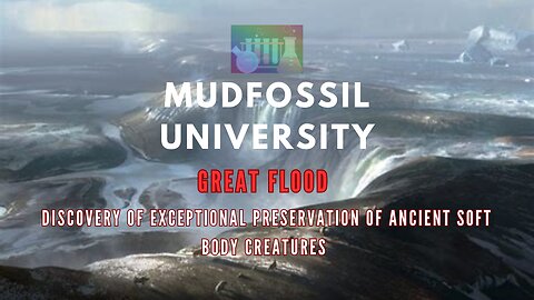 Great Flood -- Discovery of Exceptional Preservation of Ancient Soft Body Creatures