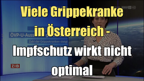 Viele Grippekranke in Österreich - Impfschutz wirkt nicht optimal (ORF I 30.03.2022)