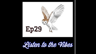 Listen to the Vibes-Daily Devotion ep29
