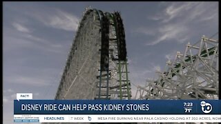 Fact or Fiction: Disney ride helps pass kidney stones?