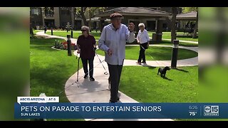 Pets on parade to entertain seniors