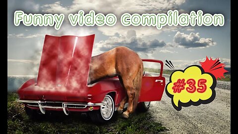Funny video compilation #35