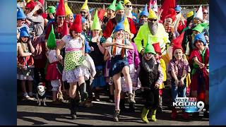 Gnome Fest 2017 to try to break world record