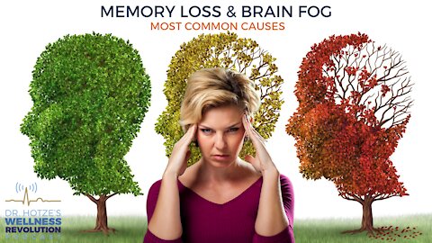 Memory Loss & Brain Fog: Most Common Causes