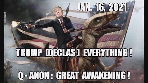 Qanon: GREAT AWAKENING! TRUMP DECLAS EVERYTHING! Q+ One OWL What? D.C. BIRD CAGE 25K TROOPS MAGA KAG