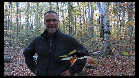 Canon G70 Woods Walk Looking for Fall Color #camcorder #video #4k #canon