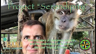 Project Serendipity: The Last Tropical Frontier #15