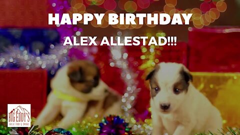 Alex BDay