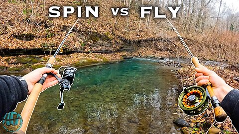 Fly Fishing vs Spin Fishing: Which is better?? (Trout Fishing)