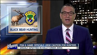Grizzly spotted first time in decade in north-central Idaho