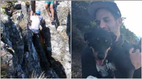 Hund räddas på Taffelberget i Sydafrika