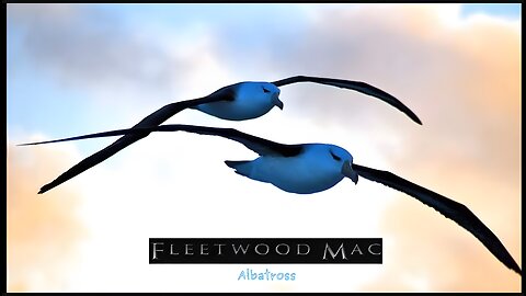Fleetwood Mac - Albatross.