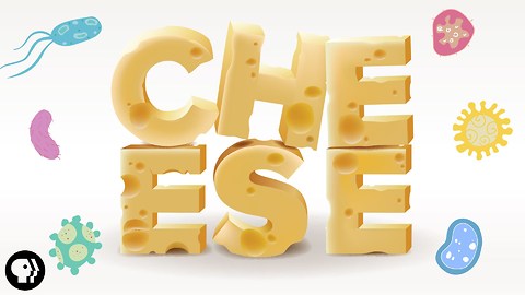 The Delicious Science of CHEESE!