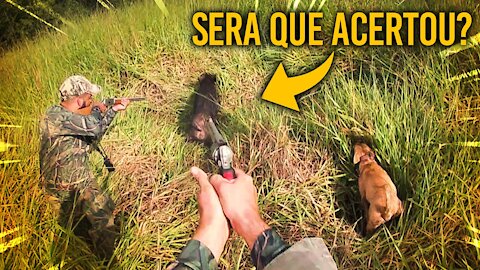 Boar Hunt! Did you get it right?