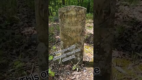 This site needs so much work. #cemetery #cleaning #restoration #headstones #taphophile